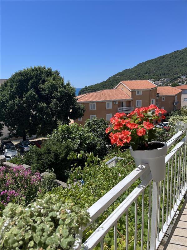Apartmani Neda Bane Petrovac Exterior foto