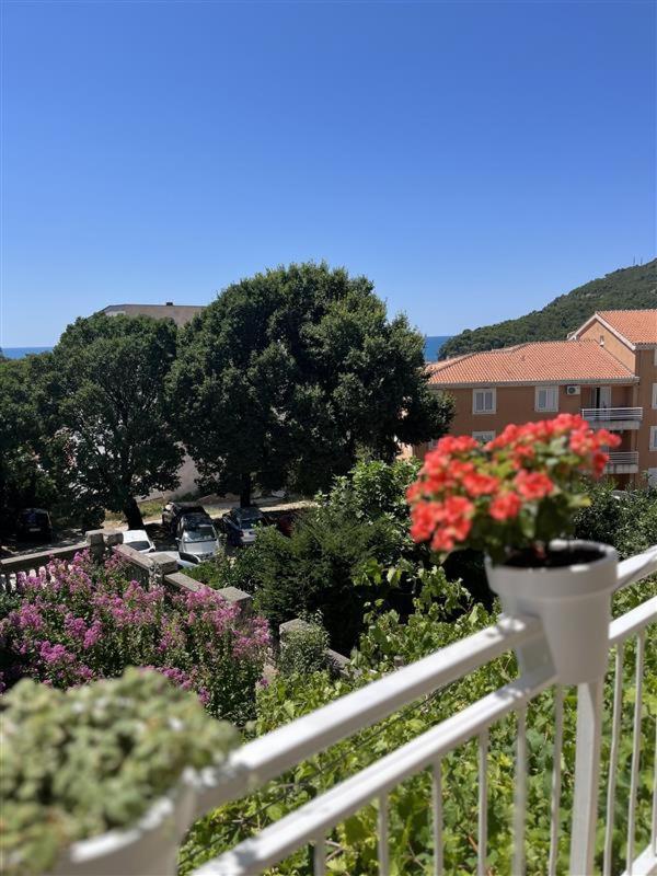 Apartmani Neda Bane Petrovac Exterior foto