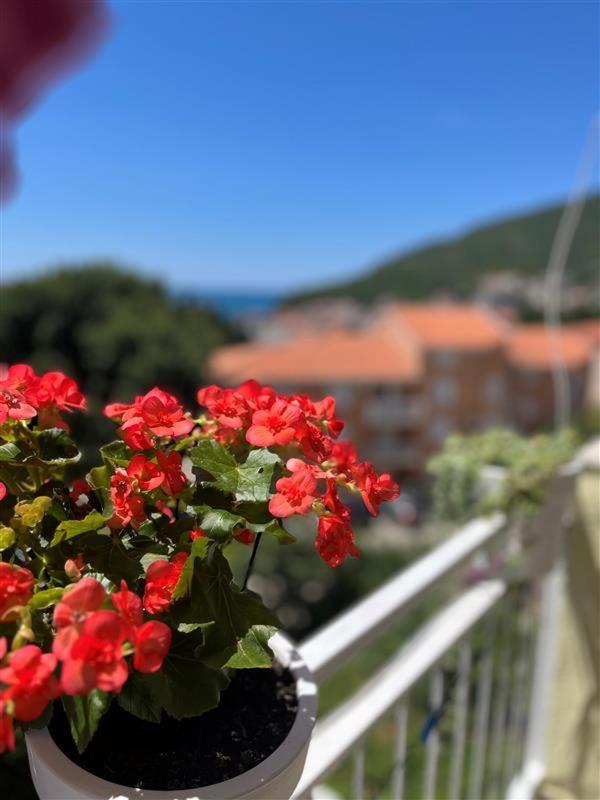 Apartmani Neda Bane Petrovac Exterior foto